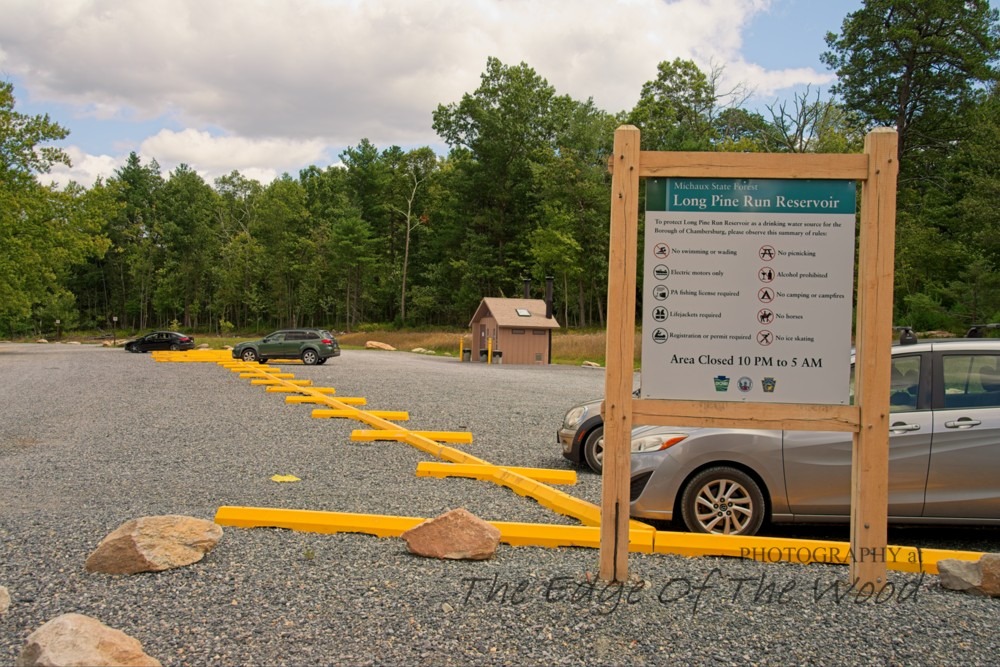 Parking area marked with bright yellow concrete bumpers